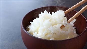   دراسة تحذر من تناول الأرز بانتظام