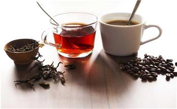   نقيب الفلاحين: يمكن زراعة الشاي والقهوة في مصر بشرط 