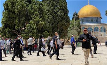   نائب إسرائيلي مُتطرف يقتحم "الأقصى" وقوات الاحتلال تعتقل حارسين وشابا فلسطينيا