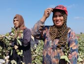 في اليوم العالمي للمرأة الريفية.. تونس تؤكد مساندتها للريفيات ومحاربة سياسات تهميشهن