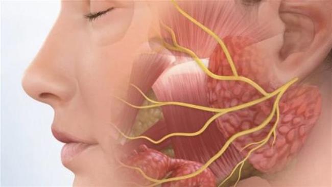 أعراض العصب الخامس وأسباب الإصابة وأفضل طرق العلاج 