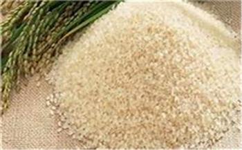   «تموين دمياط»: توريد 10 آلاف و750 طنا من أرز الشعير بالمضارب والشون الحكومية
