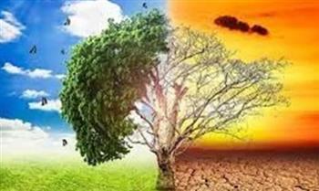 مجدي علام: التغيرات المناخية تسببت في هجرة 125 مليون مواطن