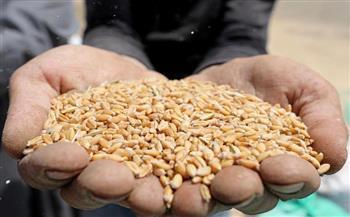 وزارة التموين تحدد الهدف من إتاحة بيع القمح بسعر 8700 جنيه للطن لمدة شهر
