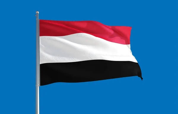 اليمن وفرنسا تبحثان التطورات السياسية والجهود المبذولة لتمديد الهدنة
