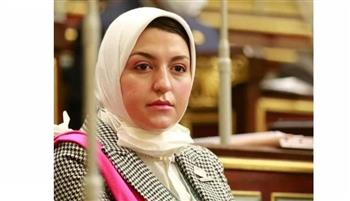   نائبة "تنسيقية شباب الأحزاب" توافق على منحة لتمويل مشروع تعزيز قدرات "شكاوى المرأة"