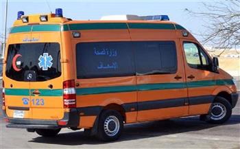   إصابة 8 أشخاص فى حادث تصادم سيارة ملاكي بعربة كارو في كفر الشيخ