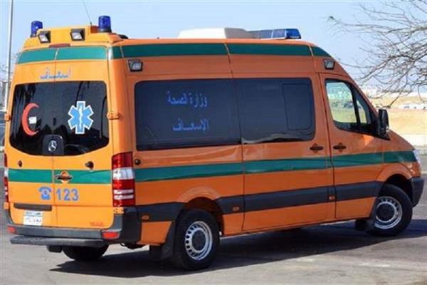 إصابة 8 أشخاص فى حادث تصادم سيارة ملاكي بعربة كارو في كفر الشيخ