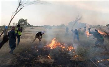   الحكومة الموريتانية تطلق حملة لحماية المراعي من الحرائق