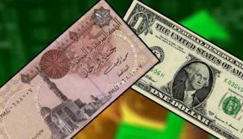   استقرار أسعار الدولار مقابل الجنيه المصري.. وارتفاع اليورو والإسترليني