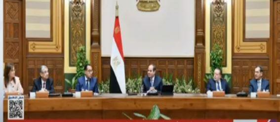 السيسي: التعامل مع الشواغل التي تواجه رجال الأعمال الوطنيين بشكل حاسم|فيديو