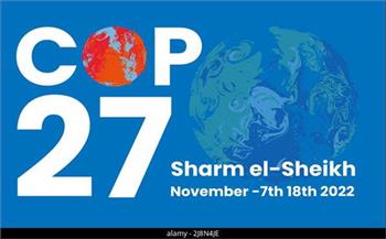   صديق: جهود الدولة من أجل إنجاح مؤتمر COP27 تليق بمكانة مصر وتاريخها