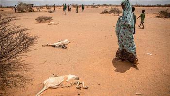   السفيرة البريطانية لدى الصومال تؤكد دعم حكومتها لمواجهة موجة الجفاف بـ «مقديشو»