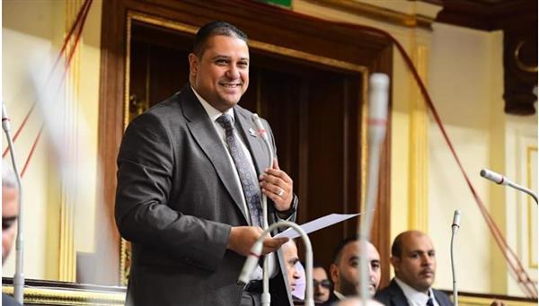 محمد إسماعيل "نائب التنسيقية" يتقدم بمشروع قانون تنظيم "الثروة المعدنية" لتتحول لهيئة اقتصادية