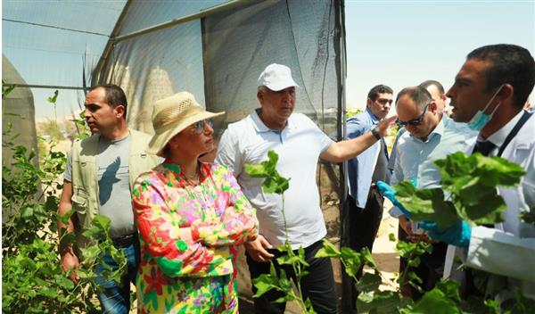 مجلس وزراء البيئة العرب يعلن فوز مدينة الخارجة بلقب عاصمة البيئة العربية
