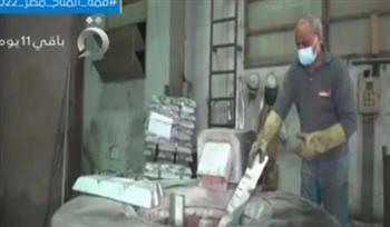 رئيس تكنولوجيا الطاقة: تجربة توطين الصناعة المصرية تتكرر في دول كثيرة بالعالم
