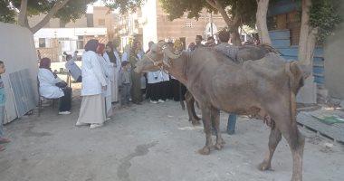 جامعة مدينة السادات تطلق قافلة بيطرية وزراعية مجانية ضمن مبادرة حياة كريمة
