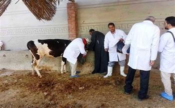 " بيطري البحيرة": علاج 650 رأس ماشية في مركز الدلنجات