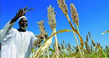 العربية للتنمية الزراعية: الأزمات العالمية فرضت الإسراع بالمشروع العربي لاستدامة الأمن الغذائي