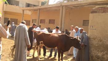 إستمرار فعاليات الحمله القومية لتحصين الأغنام والماعز ضد مرض الطاعون بالبحيرة 