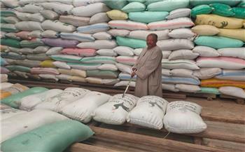   توريد 46ألف طن أرز لشون محافظة البحيرة حتى صباح اليوم 