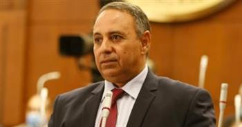   «إرادة جيل»: الدولة المصرية تمتلك الإرادة بقيادة الرئيس السيسى