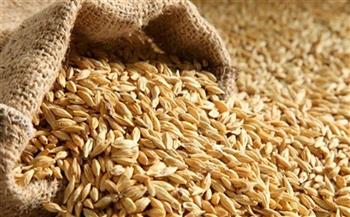   وزير التموين يتابع معدلات توريد الأرز الشعير بالمحافظات