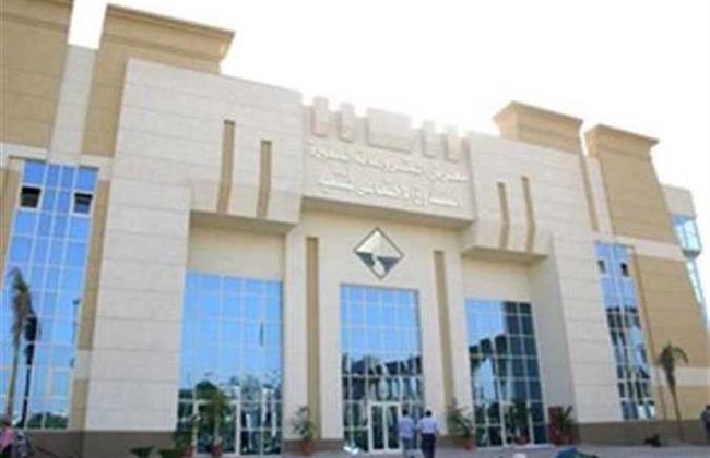 الاتفاق بين "صناعة الجلود" و"تنمية المشروعات" على تمويل وتقنين أوضاع مصانع وورش الأحذية