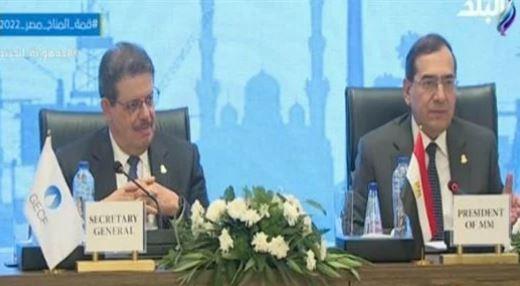 وزير البترول : إدخال معايير على آلية تسعير الغاز عالميا يؤثر في الاستثمارات
