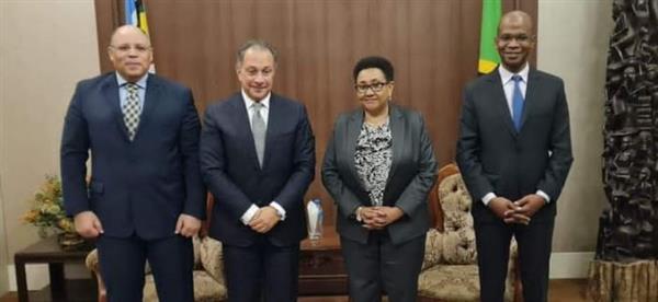 مساعد وزير الخارجية للشئون الإفريقية يلتقي وزيري الخارجية والطاقة فى تنزانيا