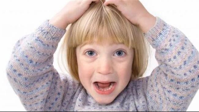 مع بدء الدراسة.. 5 نصائح لحماية شعر طفلك من القمل