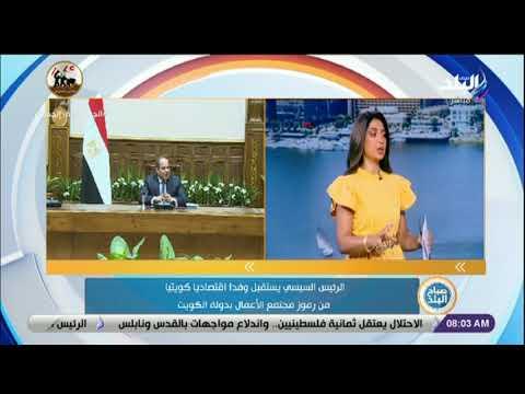 «لميس سلامة»: الدولة توفر جميع التسهيلات لرجال الأعمال والمستثمرين الأجانب