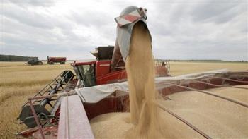   التموين تكشف مدى تأثر مصر بانسحاب روسيا من اتفاقية تصدير الحبوب