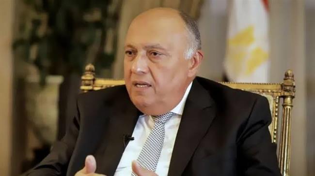 وزير الخارجية: تغير المناخ قضية وجودية