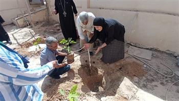   شمال سيناء: تنفيذ مبادرة لتوزيع شجرة الزيتون ضمن مبادرة "اتحضر للأخضر