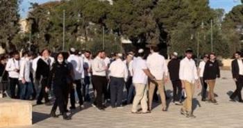   مستوطنون إسرائيليون يقتحمون ساحات الأقصى فى حراسة شرطة الاحتلال