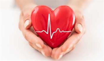   ما هى المؤشرات السريرية لمخطط صدى القلب؟