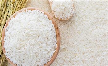   توريد 10 آلاف طن أرز شعير منذ بدء موسم الحصاد بكفر الشيخ
