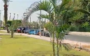   تجميل الشوارع ورفع كفاءة الحدائق أمام جامعة القاهرة