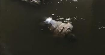   التصريح بدفن جثة طالب ثانوى لقى مصرعه غرقا فى نهر النيل بالصف