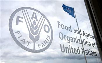   منظمة الأغذية والزراعة (فاو): تراجع مؤشر أسعار الغذاء للشهر السادس على التوالي