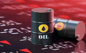  نائب رئيس هيئة البترول الأسبق يعلق على قرار الأوبك بتخفيض إنتاج النفط