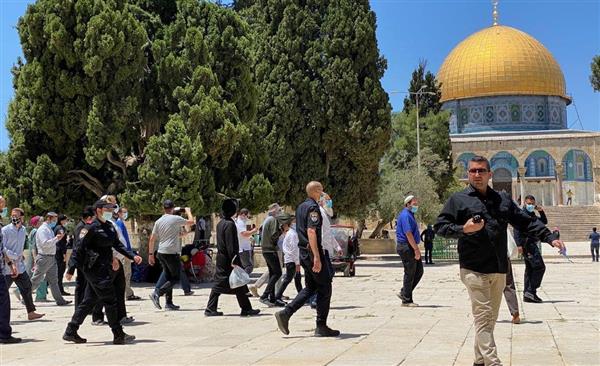 مستوطنون يقتحمون الأقصى والاحتلال يعتقل 3 فلسطينيين من الضفة الغربية