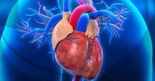 دراسة: تناول بعض الحبوب يسبب أمراض القلب