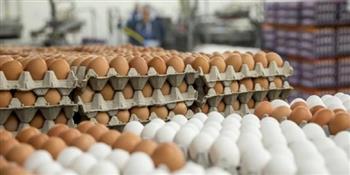   الزراعة: طرح كميات من بيض المائدة بالمنافذ الثابتة والمتحركة بسعر 72 جنيها للكرتونة