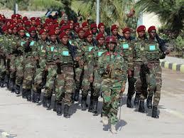   الجيش الصومالى يعلن مصرع 100 إرهابي في عمليات عسكرية