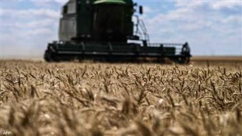   الأمم المتحدة تبحث مع وفد روسي مستقبل اتفاق الحبوب مع أوكرانيا.. الجمعة
