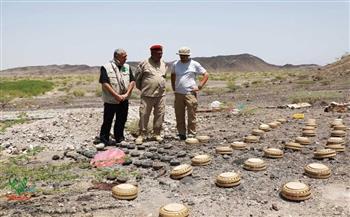   اليمن: تدمير 450 لغمًا زرعها الحوثيون في شبوة ومأرب