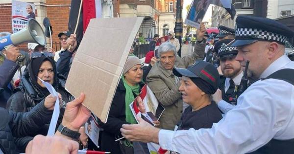 أعلام مصر ترفرف فى وقفات تأييد بعواصم دول أوروبا | شاهد