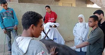 جامعة جنوب الوادى تنظم قافلة طبية بيطرية بقريه المقربية بقوص 